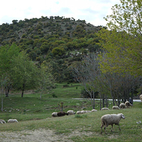 Photo de Grece - Les Météores